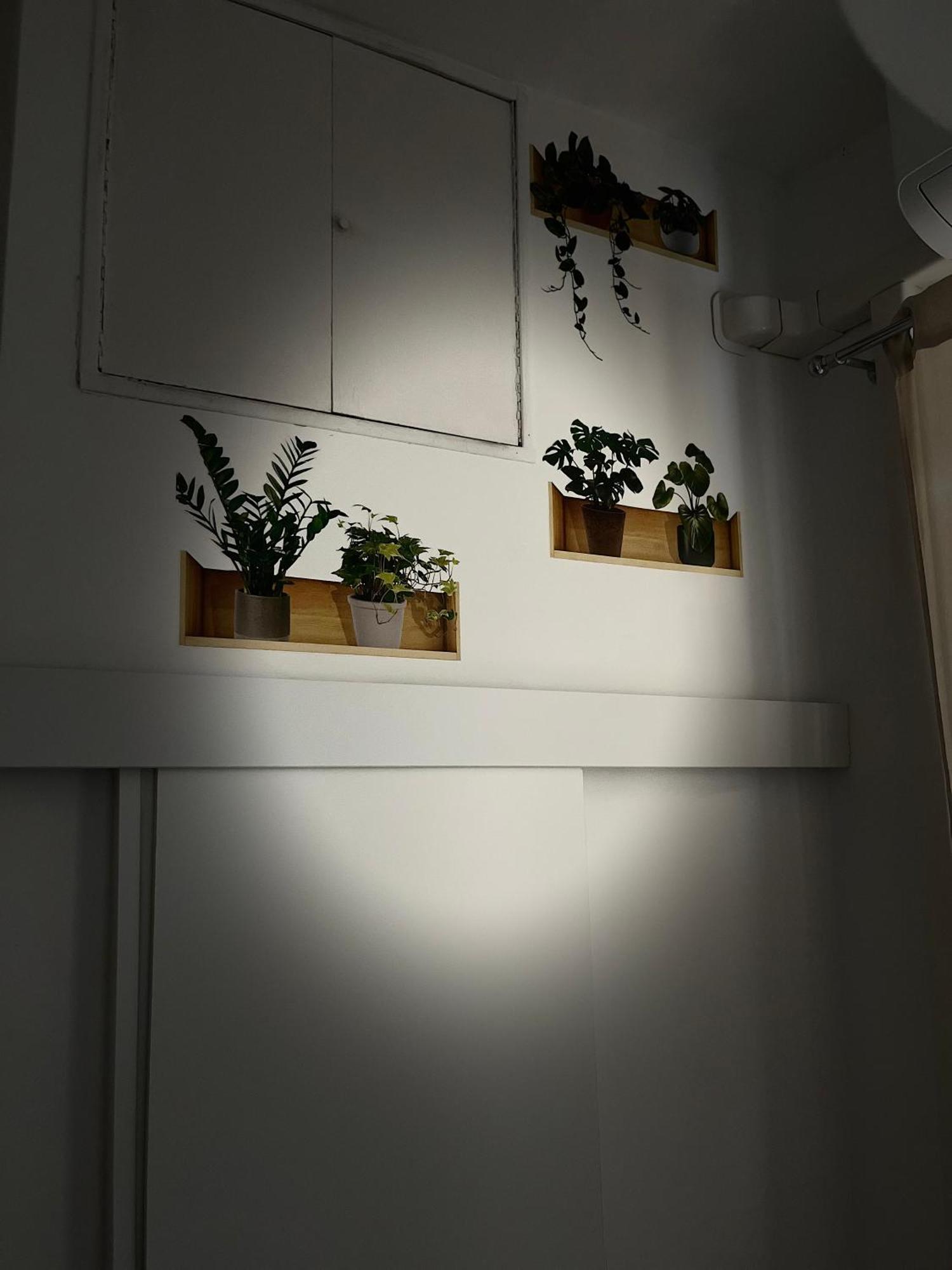 Appia Suite Rzym Zewnętrze zdjęcie